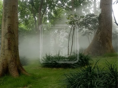 南宁·金花茶公园（景观造雾）