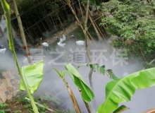 喷雾降温设备是否对人体产生危害?