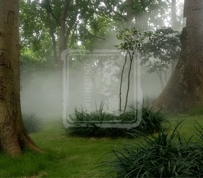 南宁·金花茶公园（景观造雾）