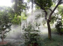 公园人造雾—唯美环保水雾造景