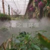 农业温室大棚喷雾降温