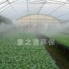 高压喷雾系统在花卉温室中的广泛应用