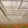 人工造雾设备在温室栽培领域作用显著