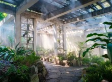 雾森系统——景区植物园!仙气飘飘,看着就仙气飘飘!